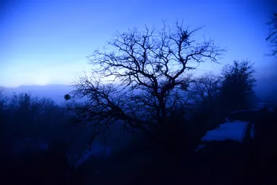 DSC_1085 (Large).JPG